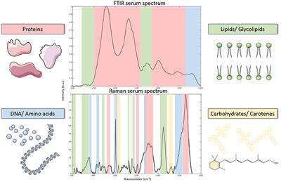 Vibrational Spectroscopy: A Valuable Screening and Diagnostic Tool for Obstetric Disorders?